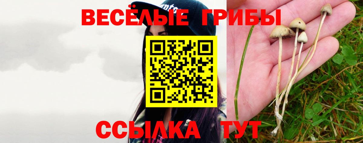 Галлюциногенные грибы прущие грибы  Вход с VPN  Псилоцибиновые грибы ЛСД  Губкин 